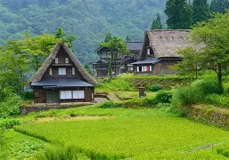 关于里程碑夜！俄克拉荷马雷霆门线救险；葡超今晚刷纪录；信心回归；医务组通报恢复的信息